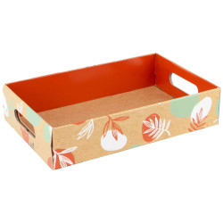 Cagette Carton Rectangulaire Orange Canyon 32,5x20x7cm