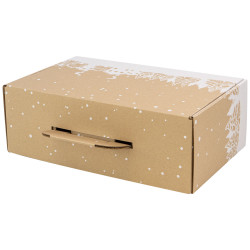 Valisette carton rectangulaire Hiver enneige 34,5x22x12 cm