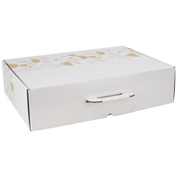 Valisette Carton Rectangulaire Blanc Eclat d'Or 49x35x13