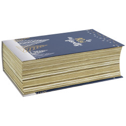 Coffret livre en carton bleu deco sapins avec dorure