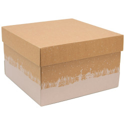 Boite carton carree kraft Hiver enneige 32.5x32.5x20