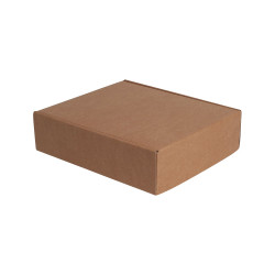 Coffret kraft 3 bouteilles 29,5x33,5x9